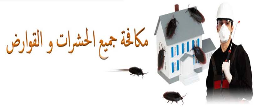 خطورة عدم مكافحة الحشرات تعكر منزلك